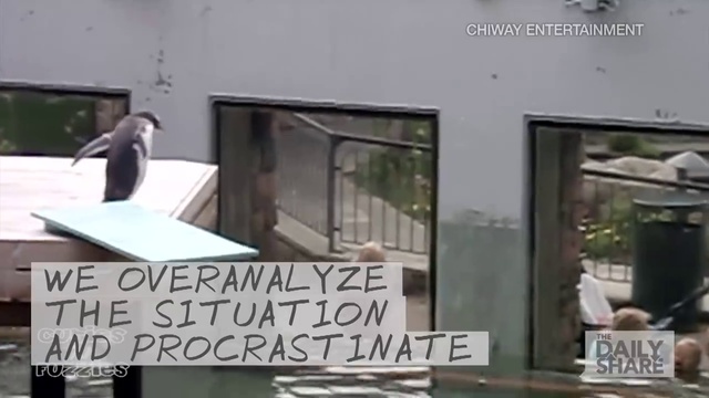 краткое руководство для тех кто долго думает смотреть онлайн