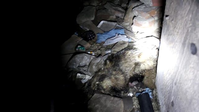 Bardejovské Podzemie 4 (Bardejov Underground - catacombs) смотреть онлайн