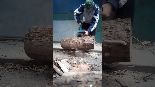 Макита: цепная сетевая пила 3020А. Распиловкаа сухого ясеня диаметром 30 см. смотреть онлайн