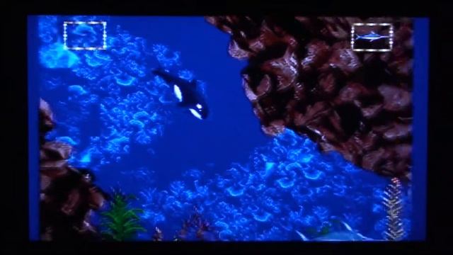 Ecco Jr. - Sega Genesis Complete Walkthrough (Retro Sunday) смотреть онлайн