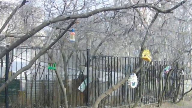 Скворечник.Скворечники для птиц.Оригинальные идеи для скворечников смотреть онлайн