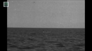 Гибель подлодки К-23