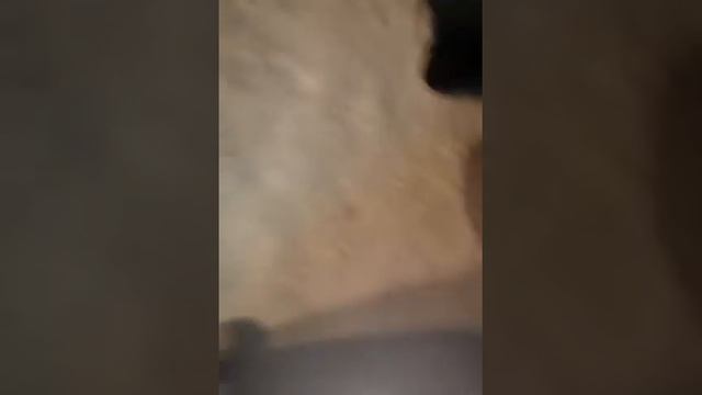 Идём на танцы 1 часть смотреть онлайн