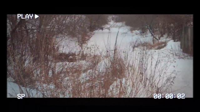 с наступающим новым годом! дорогие гребни ? смотреть онлайн