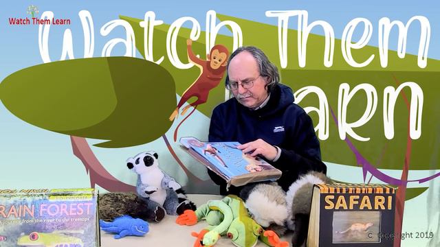 Learn About Tropical Rainforest | All About The Amazon Rainforests