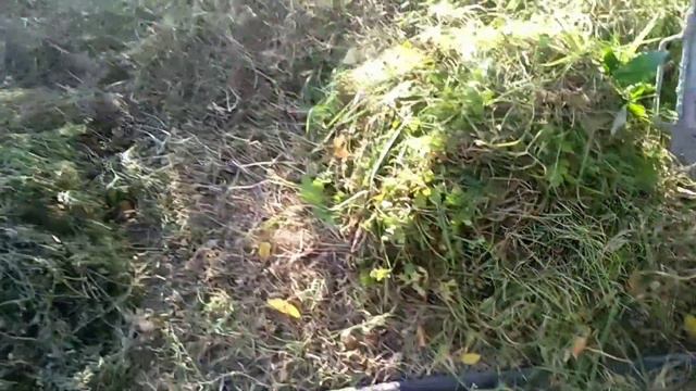 Дача, много зелени, незнаете куда деть, Угостите соседских телят они вам позитивом отблагодарят🤗🐄🤝🕊