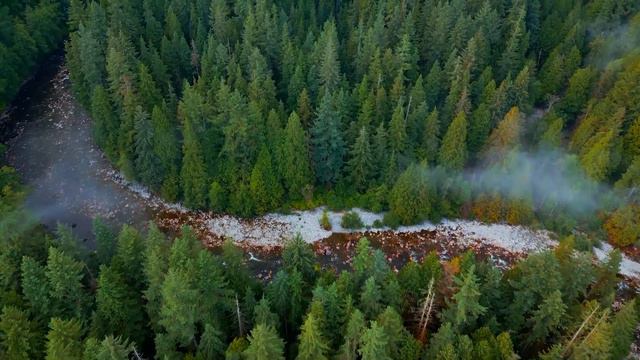Красивая расслабляющая музыка 🌿 Исцеление стресса, беспокойства и депрессивных состояний тела и душ смотреть онлайн