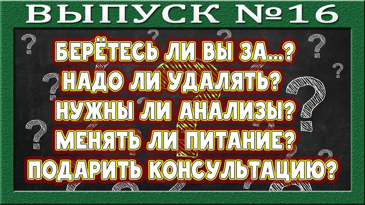 Разбор основных вопросов. Первичная консультация. Идти или нет? Анализы. Заключения. Смена питания. смотреть онлайн