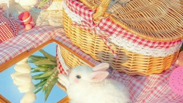 ✨ Cottagecore?/всё об эстетике ?|goblinstetic ?