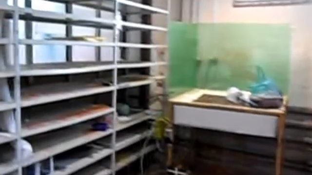 все о флоке 3 о чем это я смотреть онлайн