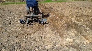 Нарезка борозд для посадки картофеля мотоблоком Беларус-05