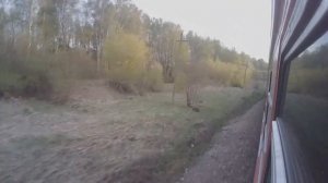 Участок Елец-Ефремов из окна поезда.