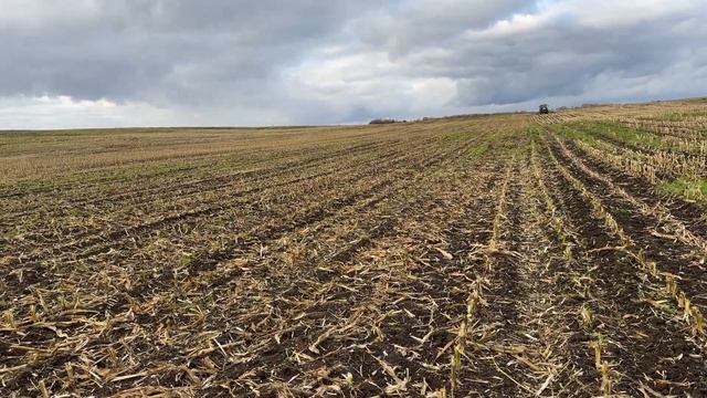 Редкий, но очень полезный агрегат! BEDNAR MULCHER MM 7000 по кукурузе с трактором John Deere 8245R!