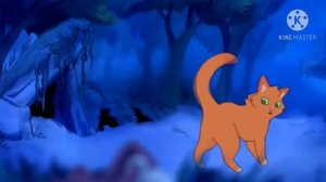 коты воители Огнезвёзд и Бич/ клип день ночь