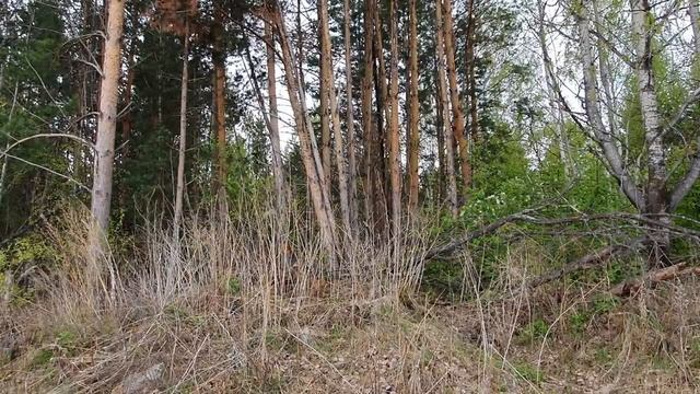 КАК ЗАРАБОТАТЬ ДЕНЬГИ _ Деревенский Бизнес [64bsLM7M-fw].mp4 смотреть онлайн