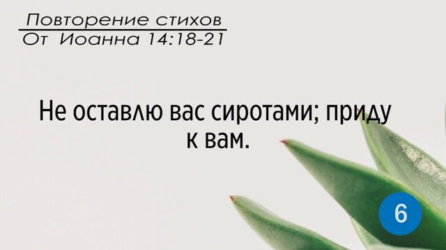 Тефиллин. От Иоанна 14:18-21. Повторение стихов 10 раз смотреть онлайн