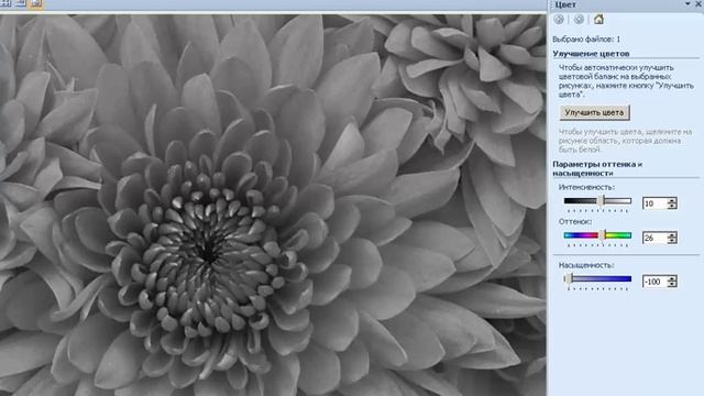 Сделать фото ч\б смотреть онлайн