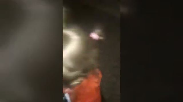 Elene gongadze смотреть онлайн