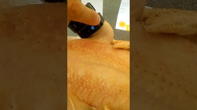 Smart Bracelet test on chicken Смapт Браслет тест на курицу смотреть онлайн