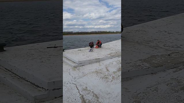 Рыбаки астрахани поймали асетра смотреть онлайн