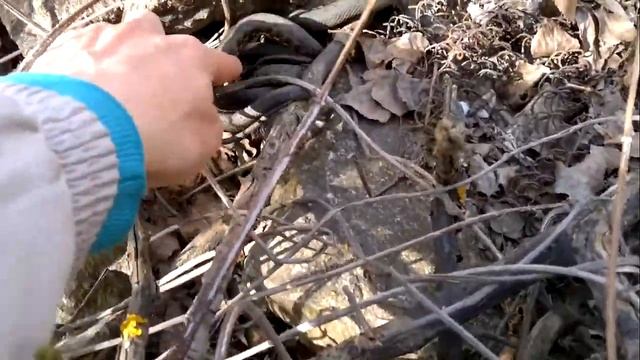 Клубок шахматных ужей смотреть онлайн