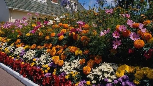 Цветочная фантазия смотреть онлайн