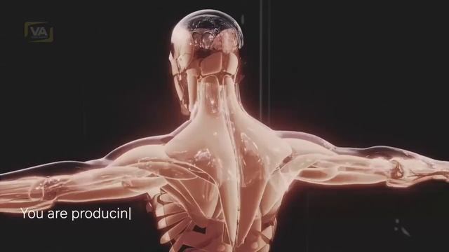 Секретная функция Эпифиза смотреть онлайн