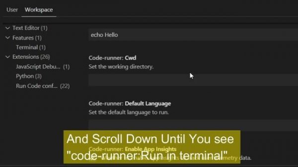 Cannot edit in read only editor | Give Input in VS Code | Where To insert input in VS Code?
