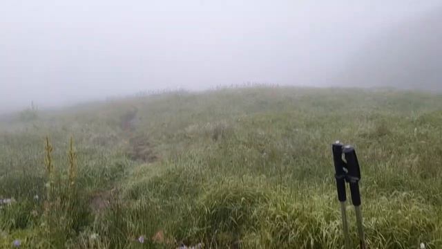 Палаточный лагерь на КАМЧАТКЕ. К нам приходил медведь! смотреть онлайн