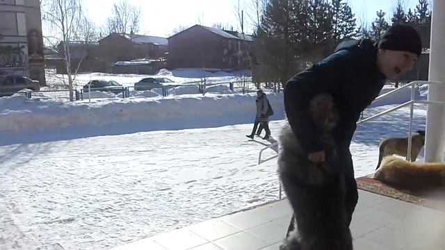 Калич+собака=дети смотреть онлайн