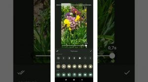 Как создать слайдшоу из фото на телефоне за 5 минут? InShot