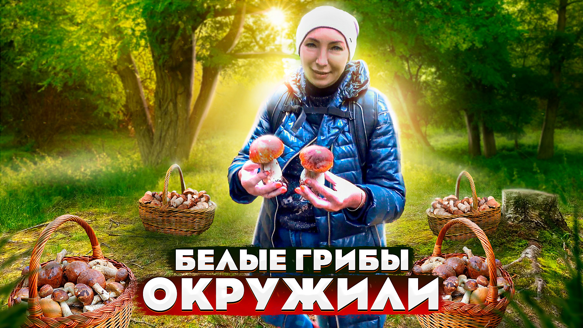 ? Белых грибов много не бывает, их бывает очень много? 4 корзины БОРОВИКОВ за час? Грибы кругом? смотреть онлайн