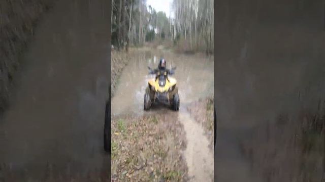 Brp ds 250 смотреть онлайн