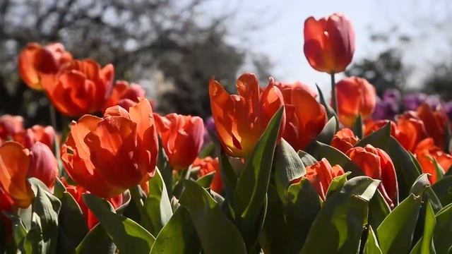 14 Апреля Будьте внимательны! Что Важно Знать в Судьбоносный День | Лунный календарь смотреть онлайн