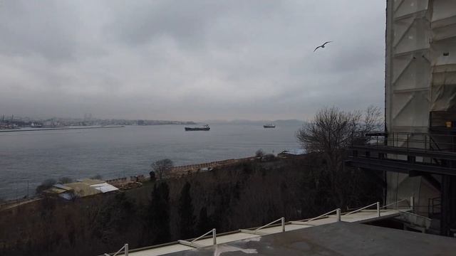 Стамбул на Новый Год 2022 смотреть онлайн