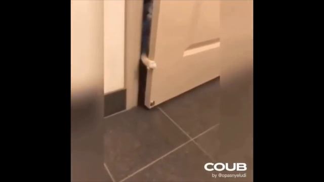 СМЕШНЫЕ ИСПУГИ ЛЮДЕЙ И ЖИВОТНЫХ испугилюдей приколы тикток - смешное видео, приколы, смотреть онлайн смотреть онлайн