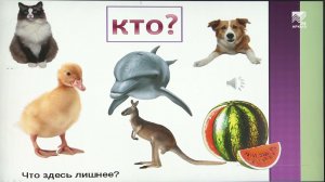 Учимся дома. 1 класс. Русский язык: Слова отвечающие на вопросы Кто? Что?