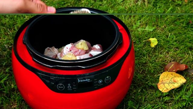 Мультиварка Breelon: лимонная курочка