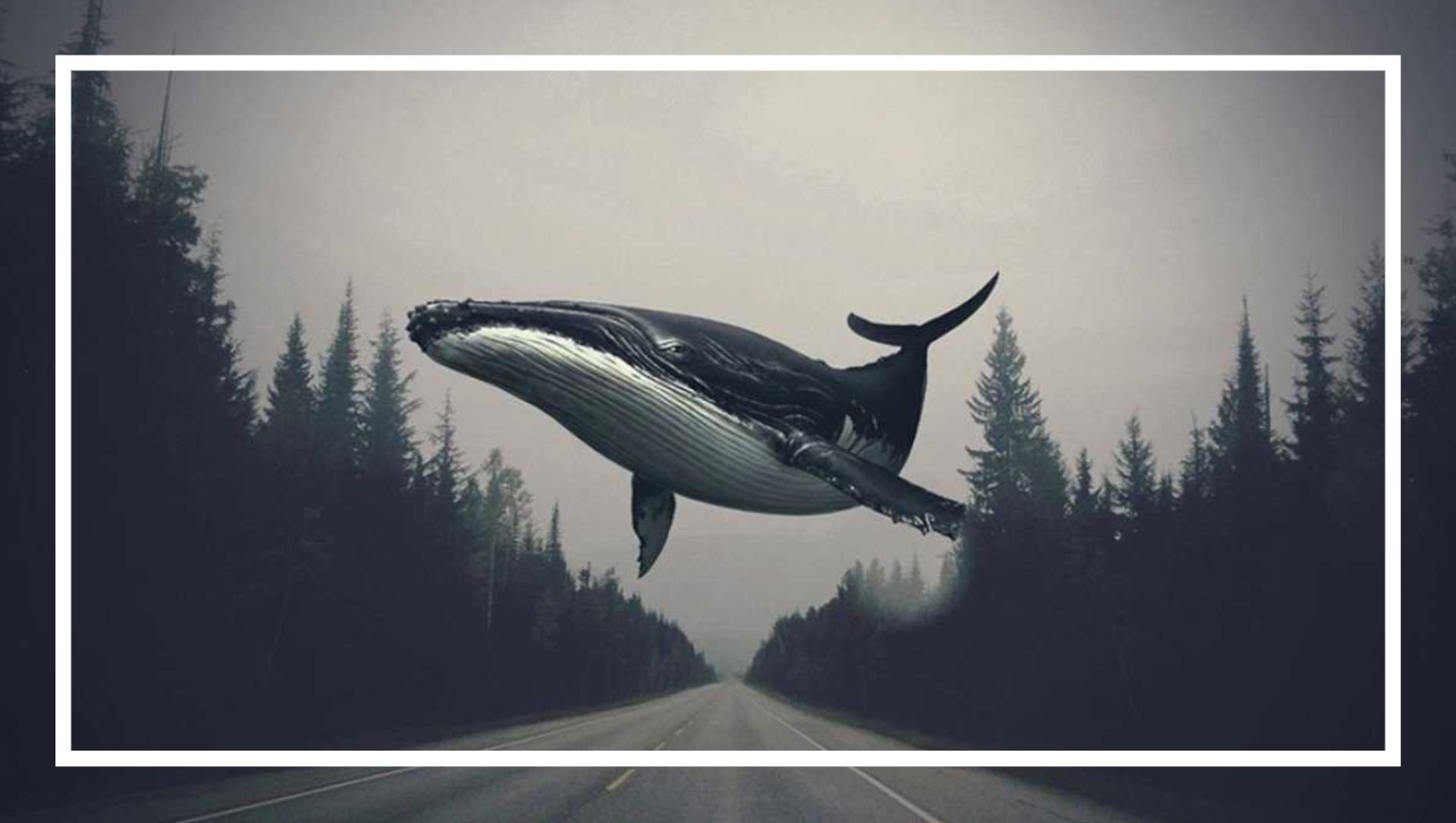 Море | Авторский трек Menzura 629 смотреть онлайн