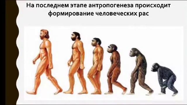 Первобытный мир и зарождение цивилизаций смотреть онлайн