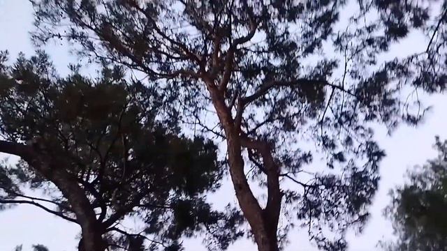 #1 - ИЮНЬ 2021 - Улетел аниматором в Турцию! смотреть онлайн