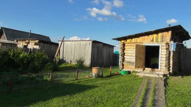 В Магазин, Что Купили Дети/Кот Так и Гадит/Сбегает от Егора/с Папой Интересней/10.06.20 смотреть онлайн