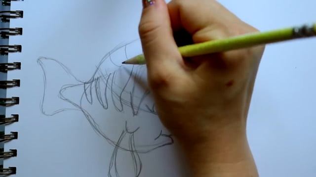 How to Draw ARIEL AND FLOUNDER Together from Disney's The Little Mermaid - @dramaticparrot смотреть онлайн