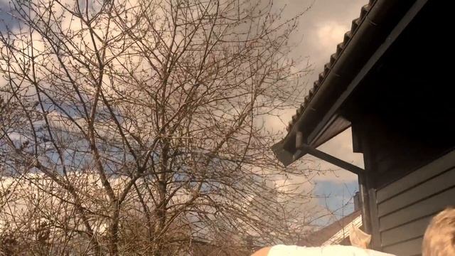 Clumsy #1: The Climber смотреть онлайн