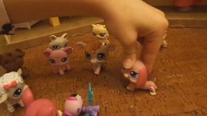 LPS ПЕТШОПЫ | СЕРИАЛ | Little Pet Shop | ДЕНЬ РОЖДЕНИЯ | 1-я серия