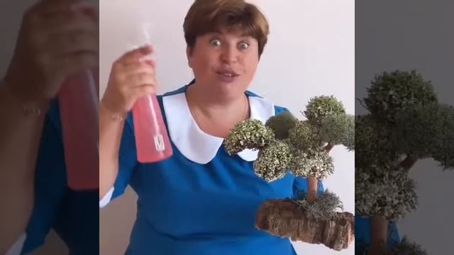 Отзыв о дереве из цетрарии педагога Елены Куликовой смотреть онлайн