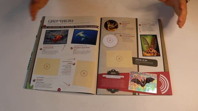 Мир Животных Рекорды журнал с наклейками ПАНИНИ / PANINI (2 часть)