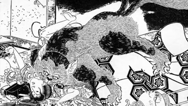 ПОЧЕМУ НЕЛЬЗЯ смотреть кошке в ГЛАЗА смотреть онлайн