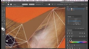 Полигональное рисование в Adobe Illustrator.