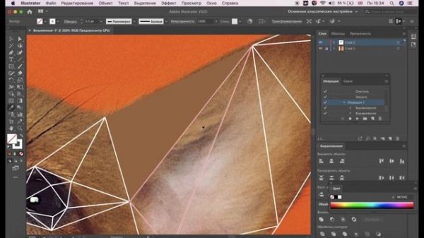 Полигональное рисование в Adobe Illustrator.